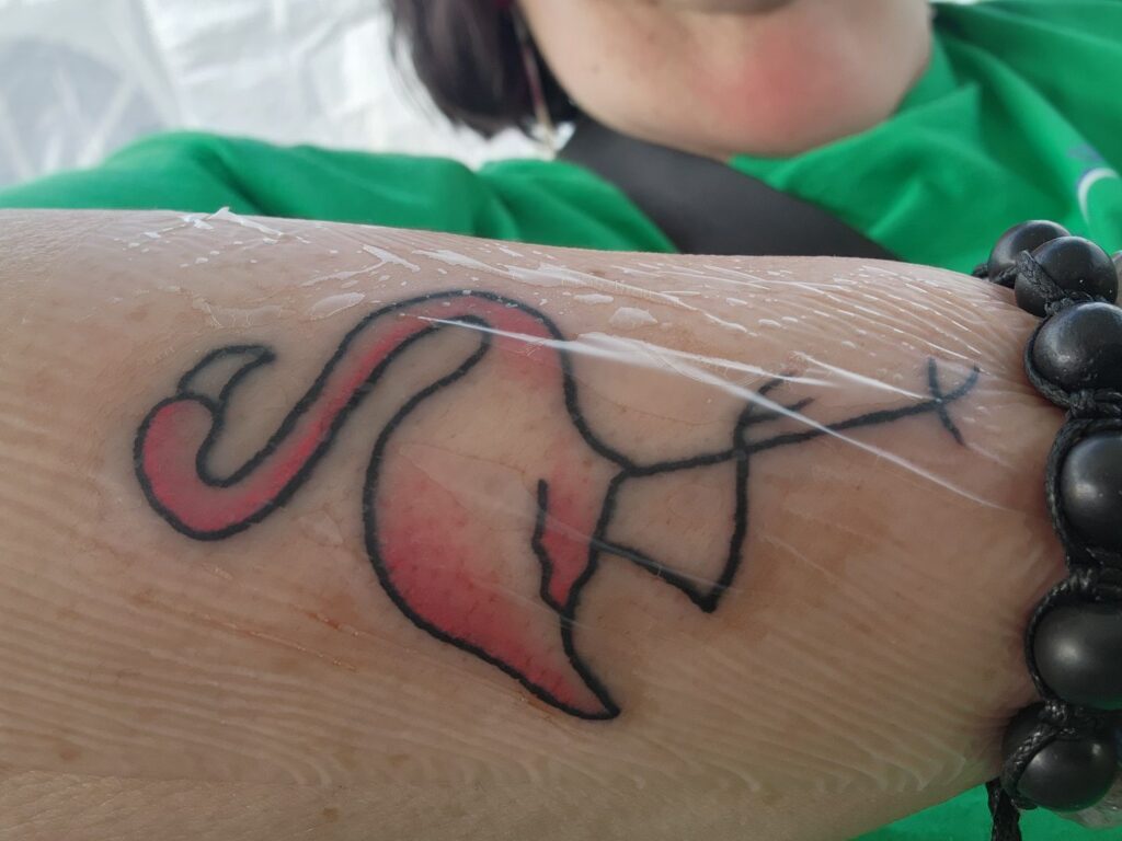 505012460_10161467297201274_8782408848162867476_n